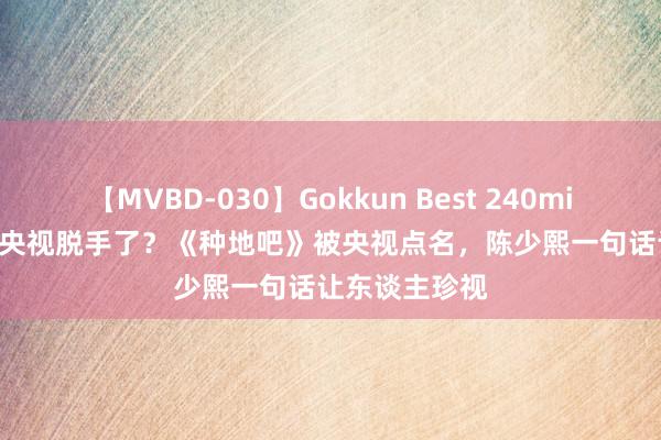 【MVBD-030】Gokkun Best 240min. 総勢12名 央视脱手了？《种地吧》被央视点名，陈少熙一句话让东谈主珍视