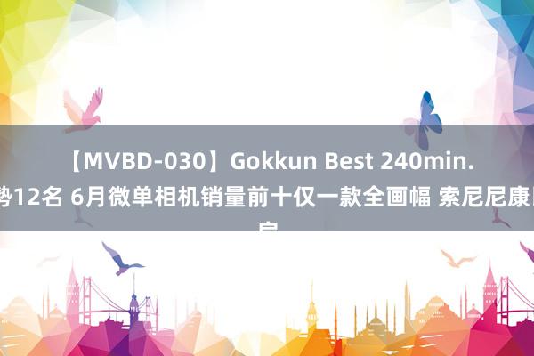 【MVBD-030】Gokkun Best 240min. 総勢12名 6月微单相机销量前十仅一款全画幅 索尼尼康比肩