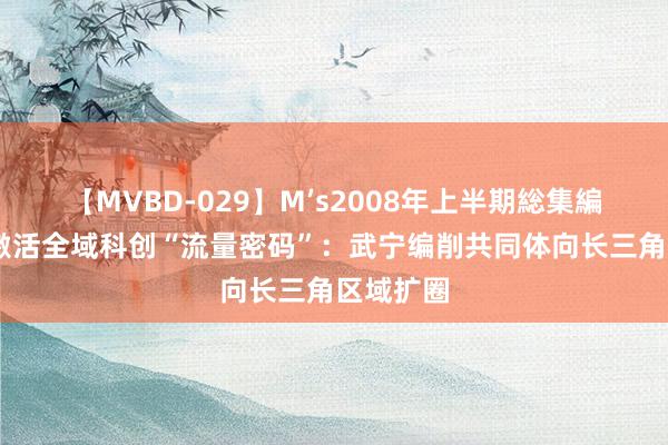 【MVBD-029】M’s2008年上半期総集編 一条路激活全域科创“流量密码”：武宁编削共同体向长三角区域扩圈