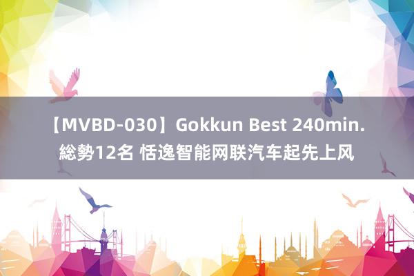 【MVBD-030】Gokkun Best 240min. 総勢12名 恬逸智能网联汽车起先上风