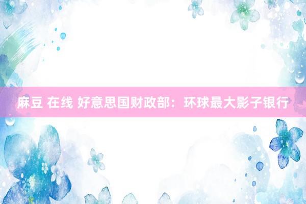 麻豆 在线 好意思国财政部：环球最大影子银行