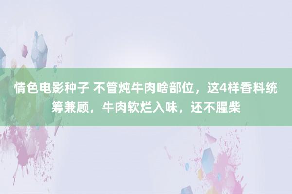 情色电影种子 不管炖牛肉啥部位，这4样香料统筹兼顾，牛肉软烂入味，还不腥柴