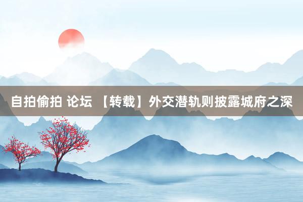 自拍偷拍 论坛 【转载】外交潜轨则披露城府之深